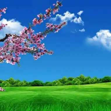 很优质很好看的风景大气招财头像很有质感很精致的风景招财头像