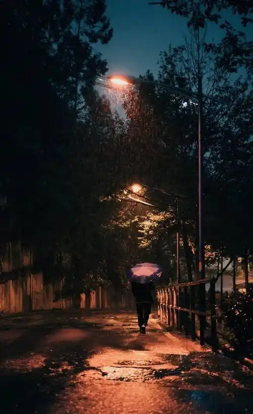 见证着我们的努力夜雨的路灯都阻碍不了我学习的心不管是在哪里少不了