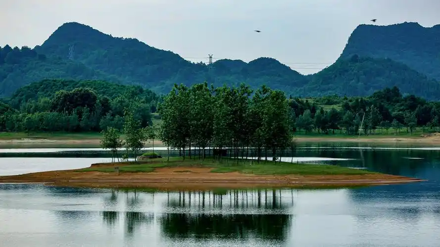 湖心小岛鸟儿飞