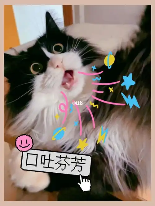 把小猫咪气的口吐芬芳呢07我真棒