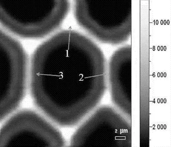 一种植物细胞壁木质化程度的测定方法-爱企查