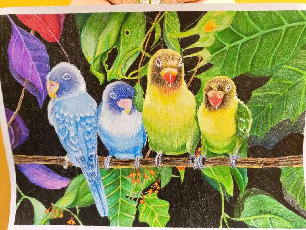 彩铅绘画 小丫头的新作品 - 抖音