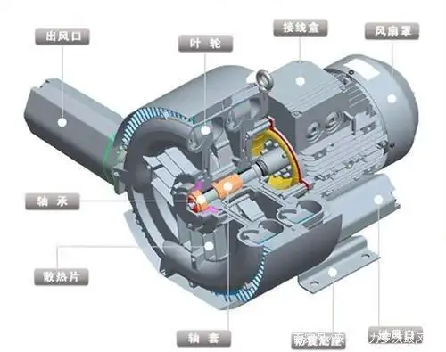 罗茨鼓风机和离心风机有什么区别?安动起力罗茨鼓风机告诉你