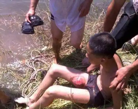 的成年男性也打不过它,它会在水中突然抓住你的脚往下拖,直至把你淹死