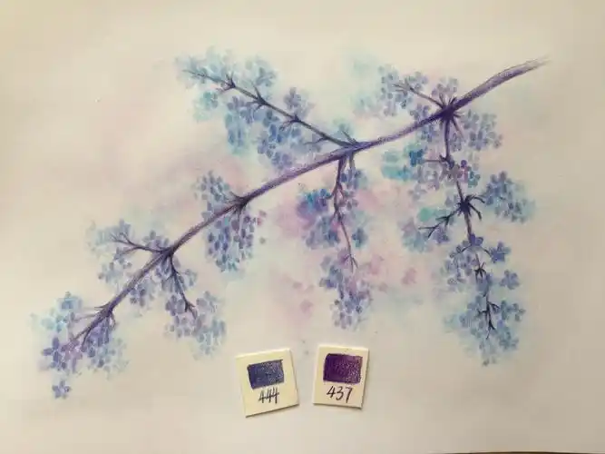 彩铅· 教程 | 简单几步,画出蓝紫色唯美花枝