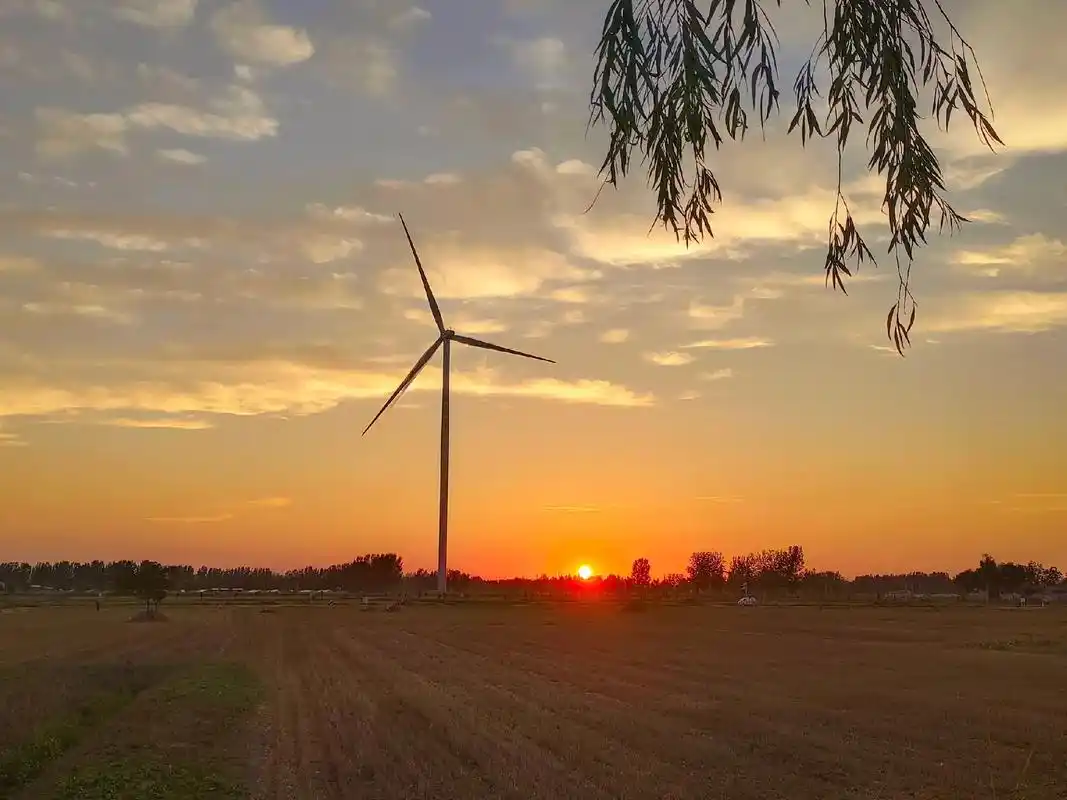 乡村里的美景.#落日余晖映晚霞一抹夕阳美如画 #随手一拍都 - 抖音