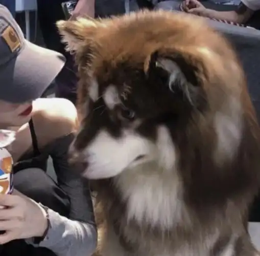 情头情侣头像喜欢关注或收藏一下专辑mua