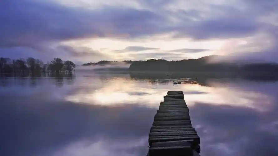 湖,桥,天鹅,雾,森林,日出 桌布 - 1920x1080 全高清