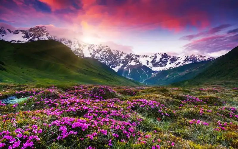 精选绿色草原山脉风景电脑壁纸图片 第一辑