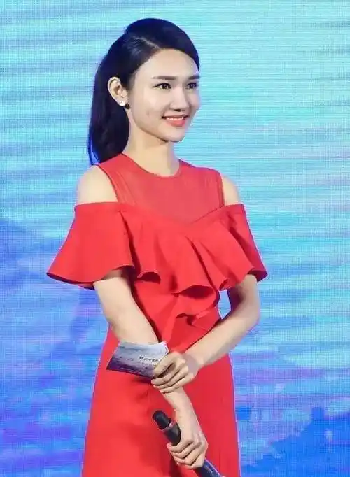 龙洋从湖南郴州走出的著名主持人34岁的她却说白马王子迷路了