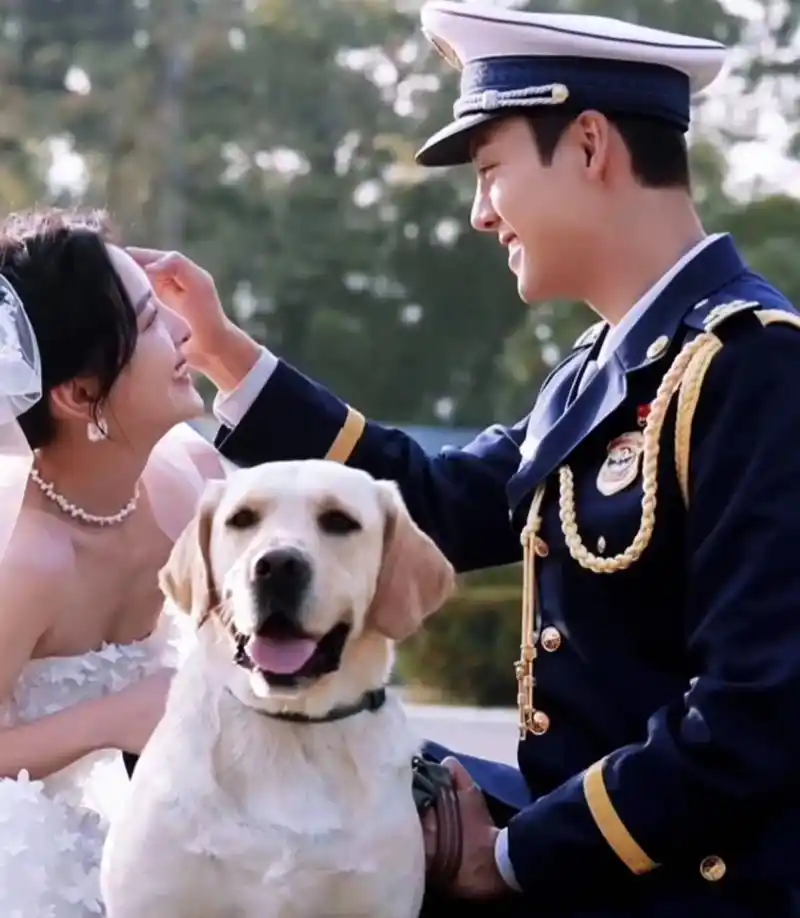 陈伟霆章若楠新剧《照亮你》的婚 - 抖音