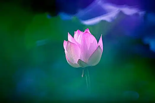 文山湖图片_文山湖图片大全_文山湖图片素材