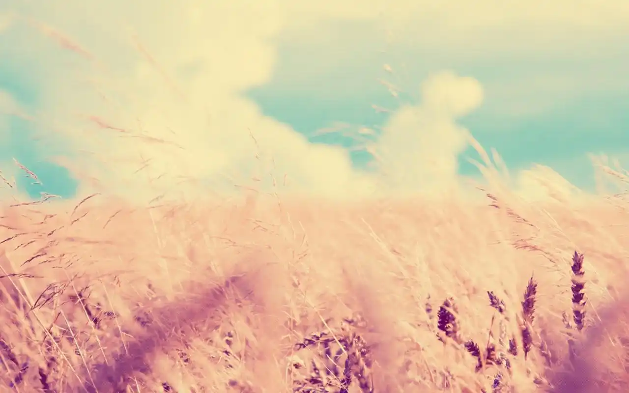 金色的麦田唯美田园风光高清壁纸