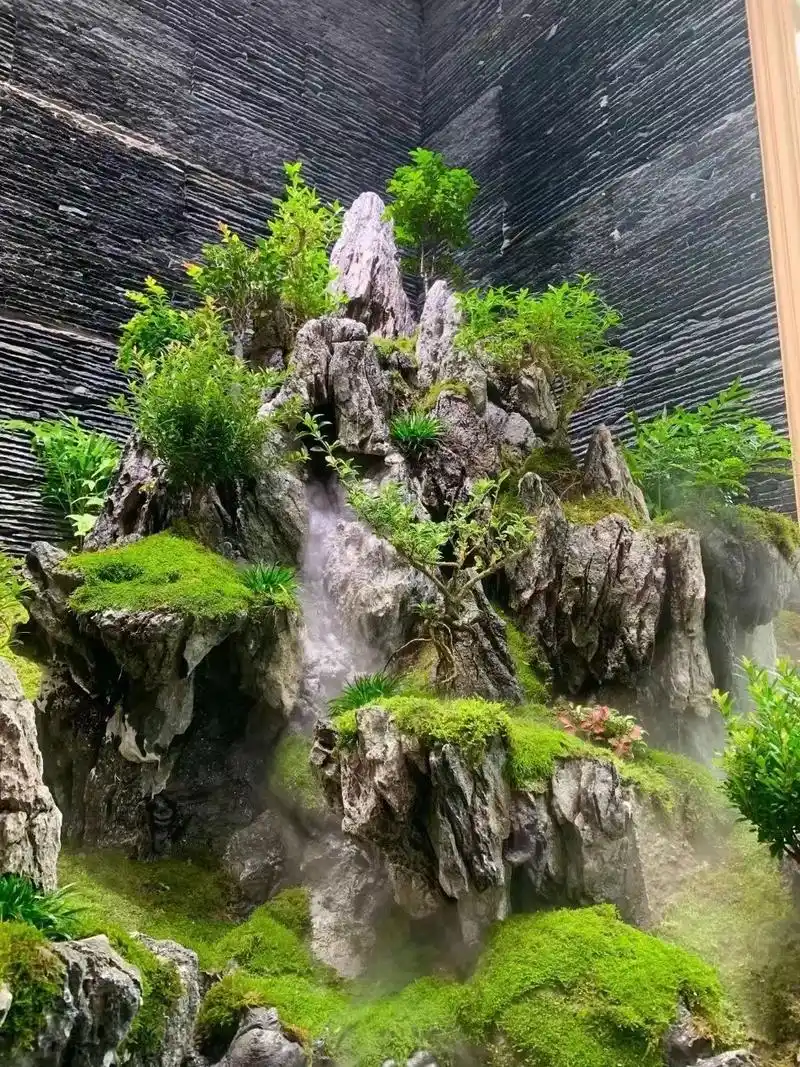 青龙石小假山#水陆缸造景 #鱼缸里的大自然 #青龙石 #植物 - 抖音