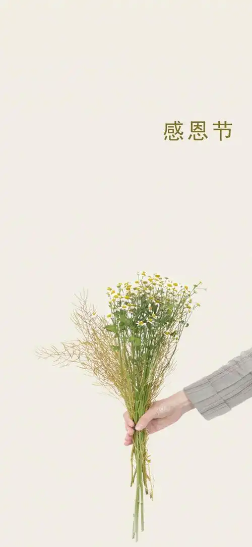 简约清新的花朵,锁屏图片,高清手机壁纸,另类-回车桌面