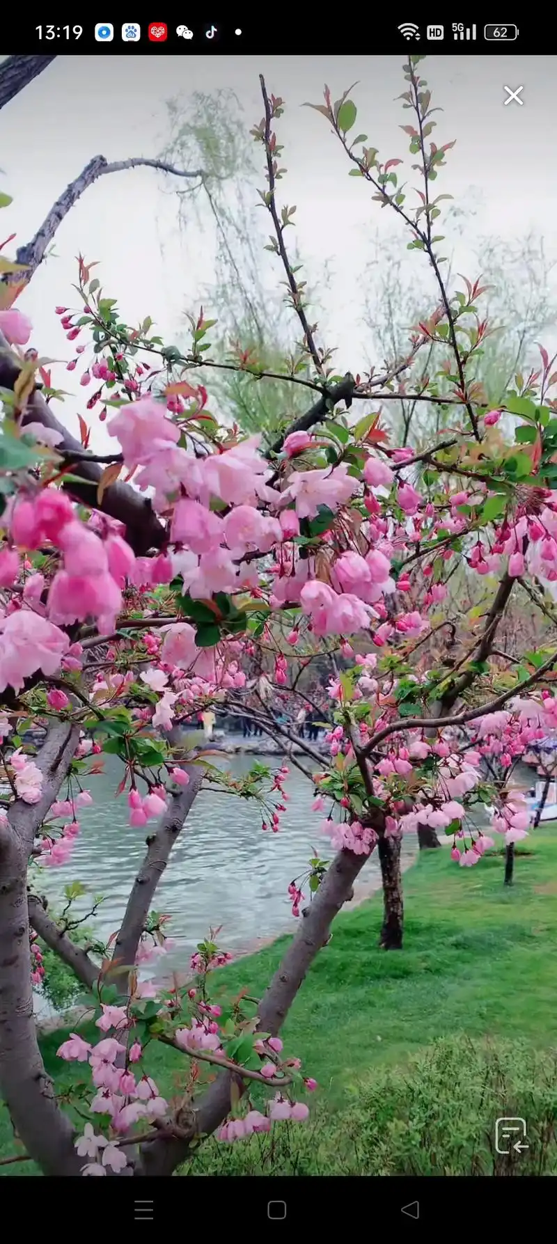 春有约,花不误,最美三月桃花开,桃花不醉人自醉.人生最美的遇 - 抖音