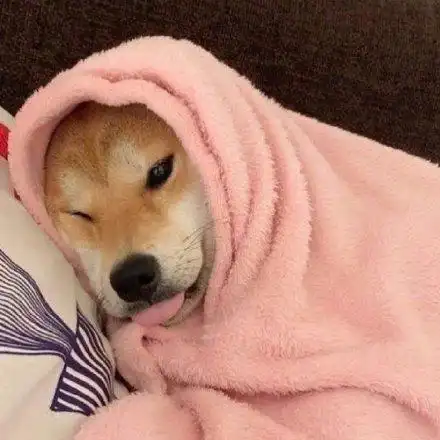 睡觉 被子表情包 - 睡觉 被子微信表情包 - 睡觉 被子qq表情包 - 发