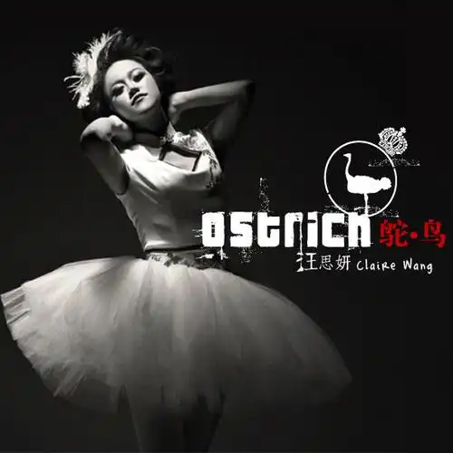 汪思妍发《鸵鸟》用音乐承载爱情忧伤