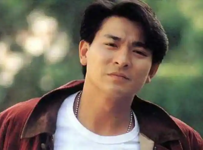 刘德华年轻最帅图片,刘德华图片最帅的图片-图片大观-奇异网