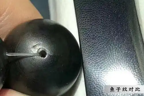 科普亚洲犀牛角与非洲犀牛角的区别