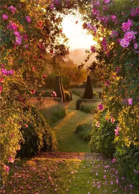 秋季深色唯美风景皮肤图片好看的秋季手机壁纸意境