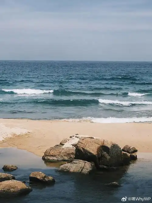 壁纸 桌面 690_920 竖版 竖屏 手机