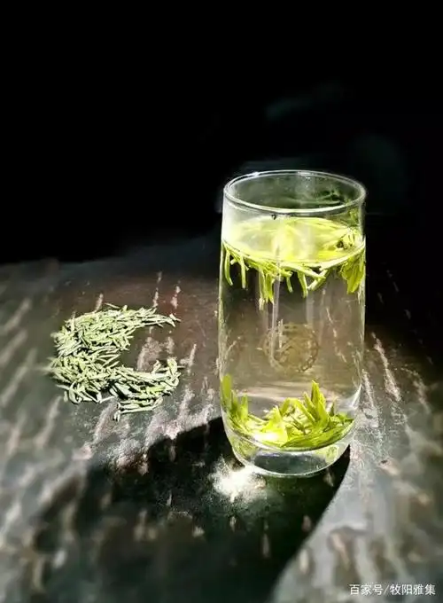 品赏一杯绿茶的舞蹈