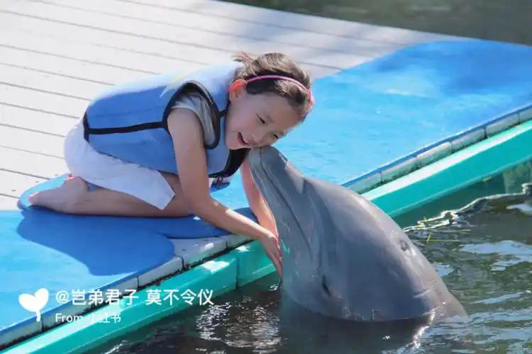 海豚近距离接触00