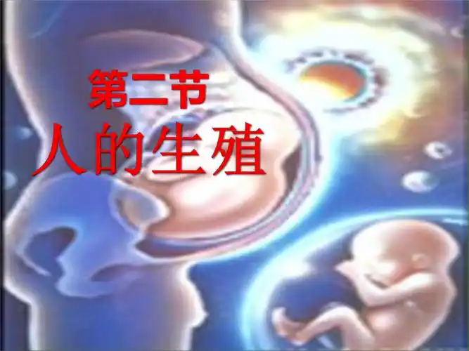 《人的生殖》--长海一中--孙婵.ppt