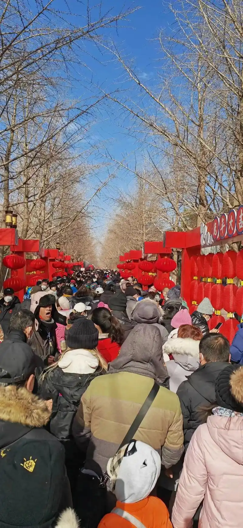 出乎意料的圆明园庙会.#图文伙伴计划 去圆明园逛庙会,排队买 - 抖音