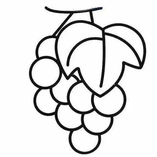 水果简笔画宝宝学画水果简笔画教程二年级简笔画水果可爱简笔画教程