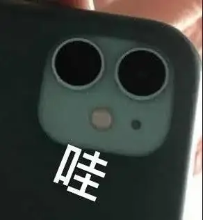 手机摄像头哇搞怪逗gif动图_动态图_表情包下载_soogif