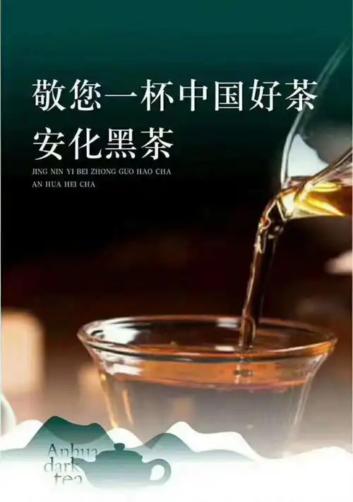 华莱健黑茶适合的人群(华莱健黑茶喝了有什么好处)