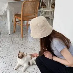 全部播放专辑名:我饮酒老闭登歌手:秣茴发行时间:2022-05-07简介: 我