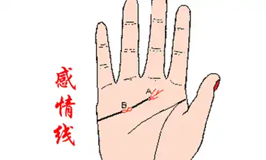 感情不顺利,容易离婚的4种手相特征,看看你中了几条?_婚姻_爱人_因为