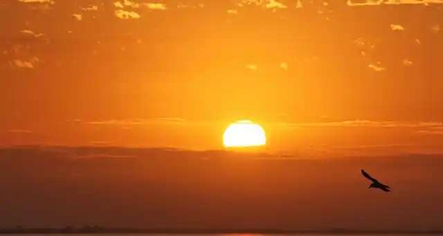 形容早晨太阳升起来的唯美句子