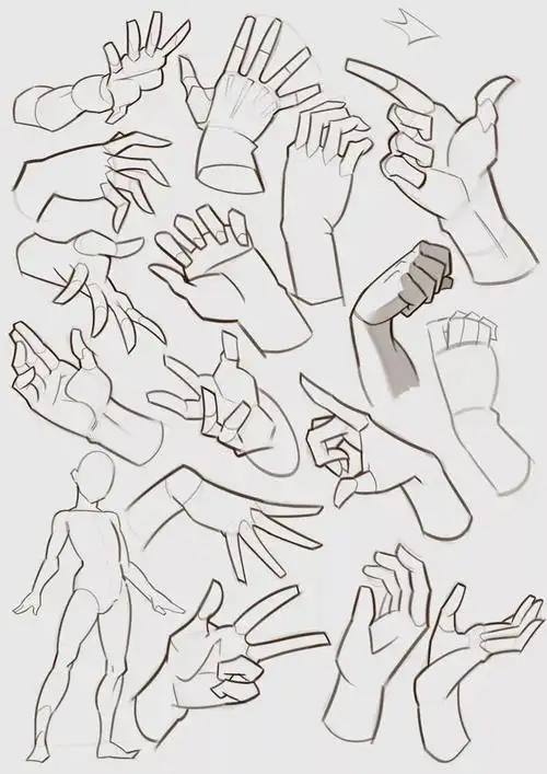 手部手臂头部绘画素材浏览量 : 1151