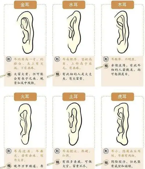 面相耳_土耳面相图解_面相算命图解大全耳朵
