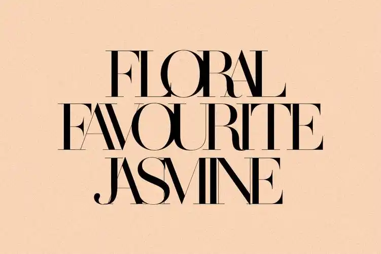 时尚优雅杂志海报标题徽标logo设计衬线英文字体素材 made saonara