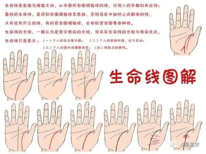 手相最详细的生命线