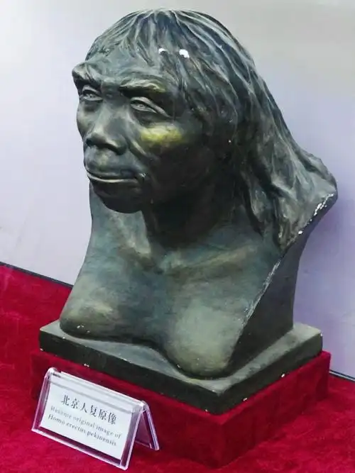 属古遗址类,距今已115万年,是中国人类的发源地之一