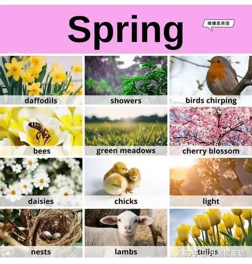 1 人赞同了该文章香港浸会大学 理学硕士唯娜思英语