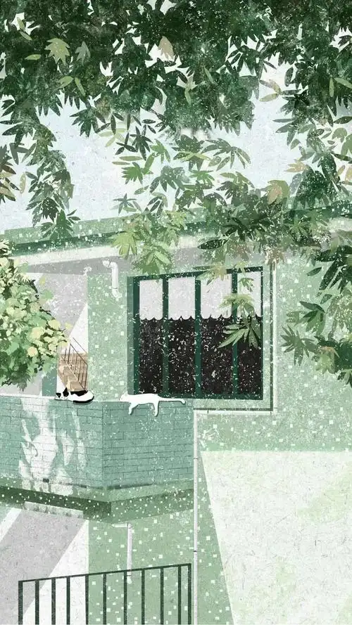 森系壁纸 小清新