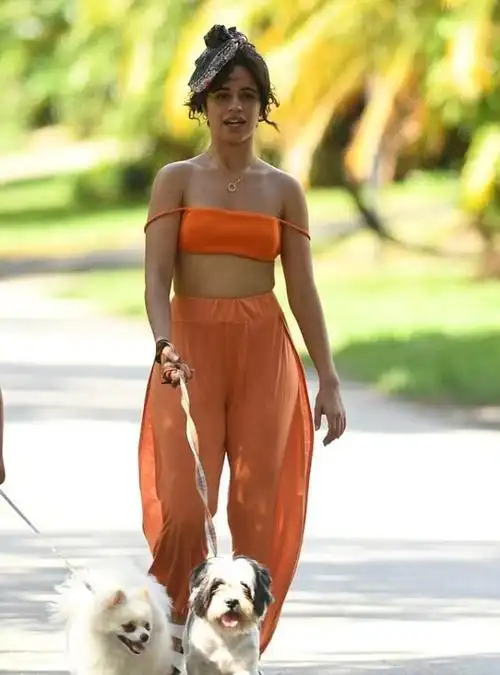卡米拉·卡贝洛(camila cabello)身材保持得很不错,她在公园遛狗散步