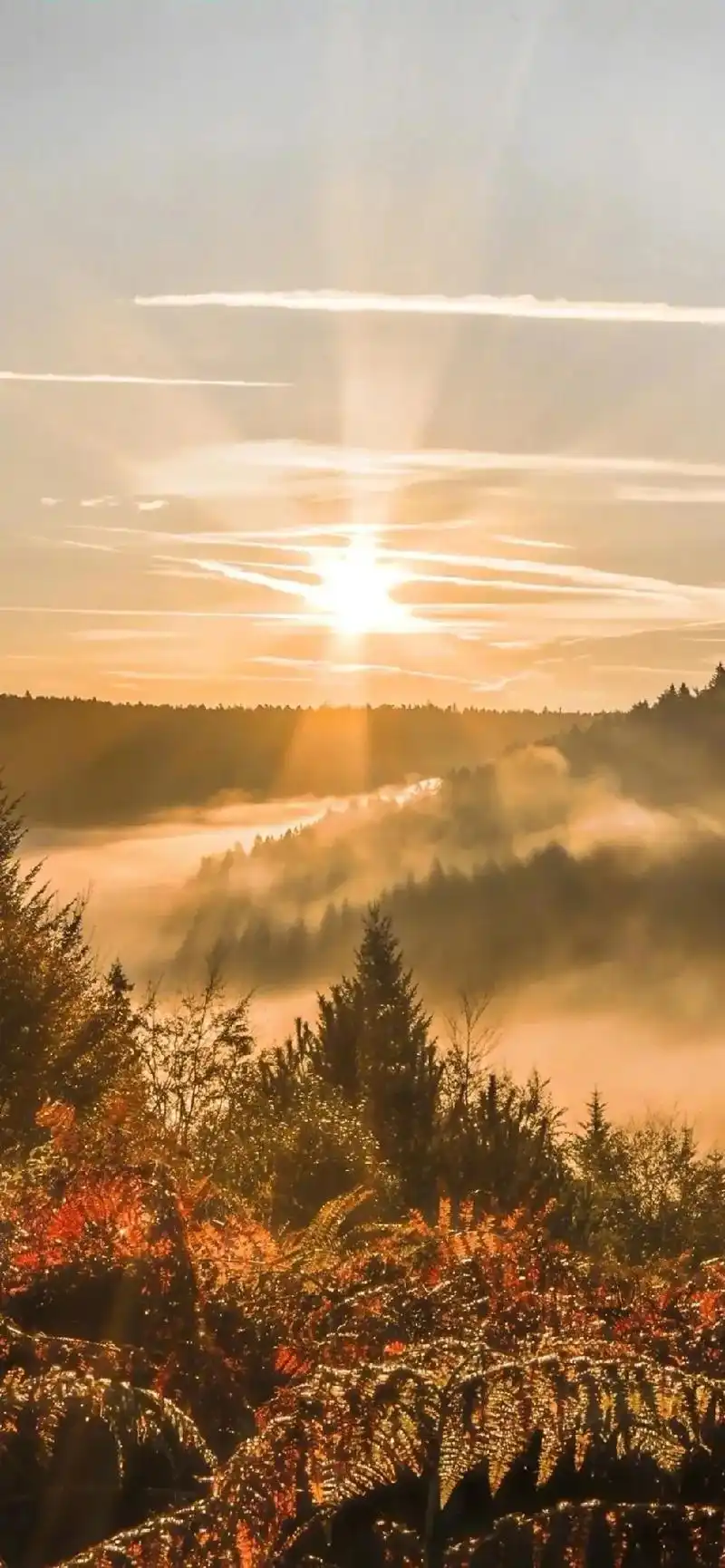 创作灵感 #4k超清无水印手机壁纸合集#高清风景手机壁纸# - 兑趑