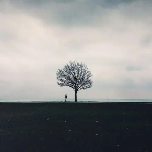 有意境的树的图片唯美意境图片5