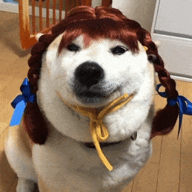 280_280gif 动态图 动图