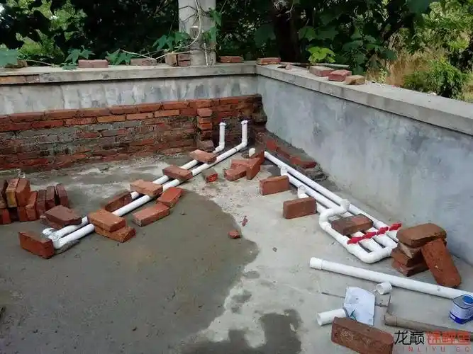 楼顶建个鱼池玩儿!