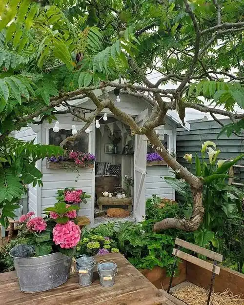 旅游与摄影30款小院款款怡人