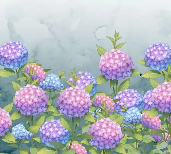 绣球花 - 优动漫-动漫创作支援平台 | 优动漫paint绘画软件